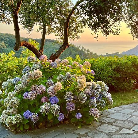 Incanto Vernazza Dış mekan fotoğraf