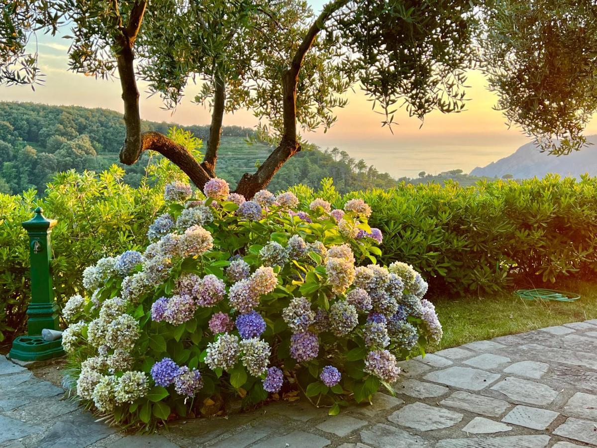 Incanto Vernazza Dış mekan fotoğraf